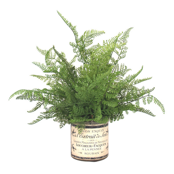 Lark Manor 15'' Faux Fern Plant in Glass Pot & Reviews Wayfair